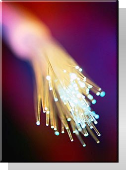 Nisco Fibre